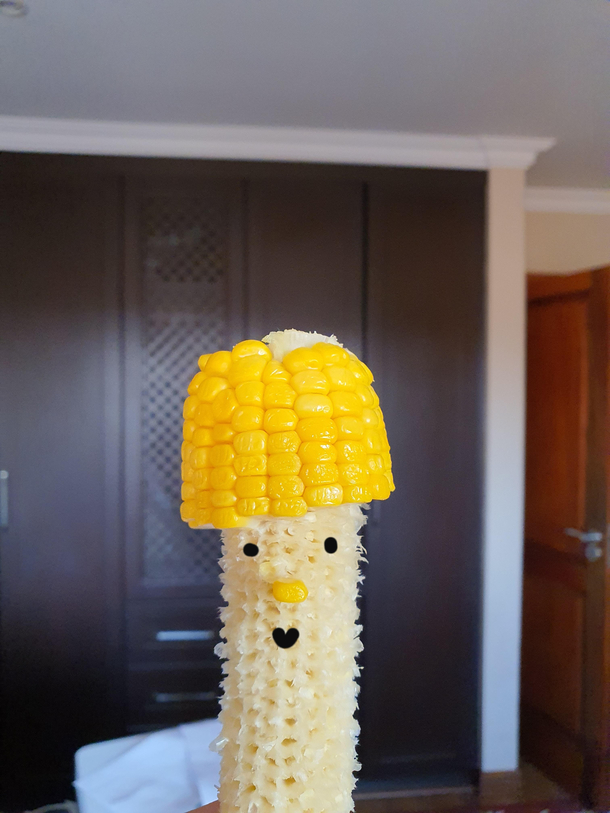 Slowly losing my mind in quarantine meet Cornelius