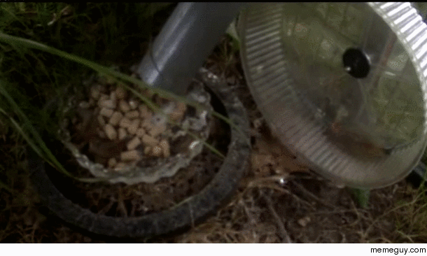 Slug on a Running Wheel