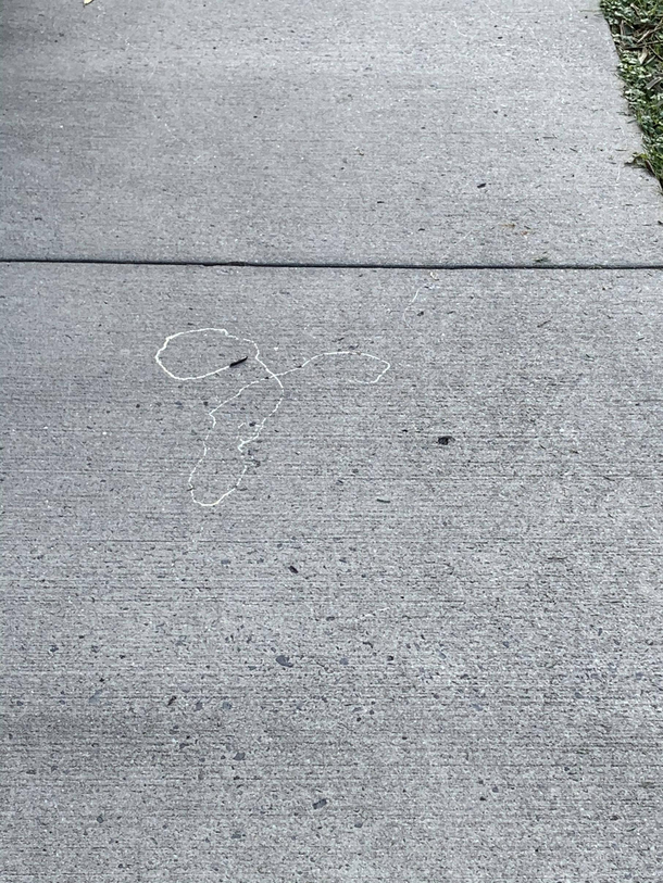 Slug practicing its street art