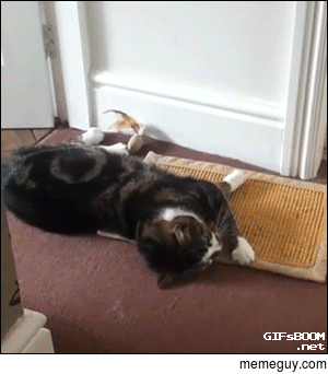 Small accident