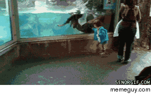 Small child causes four otter pile up