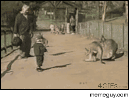 Small child vs kangaroo