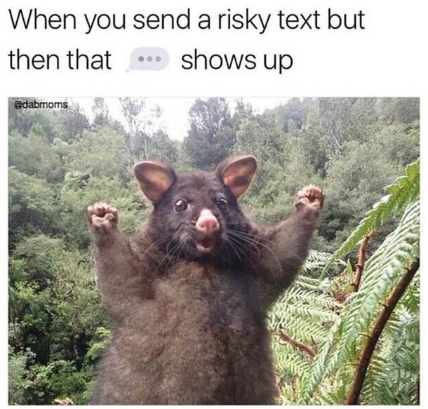 Small victories