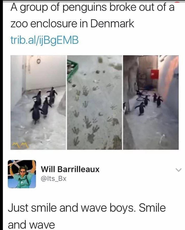 Smile and wave