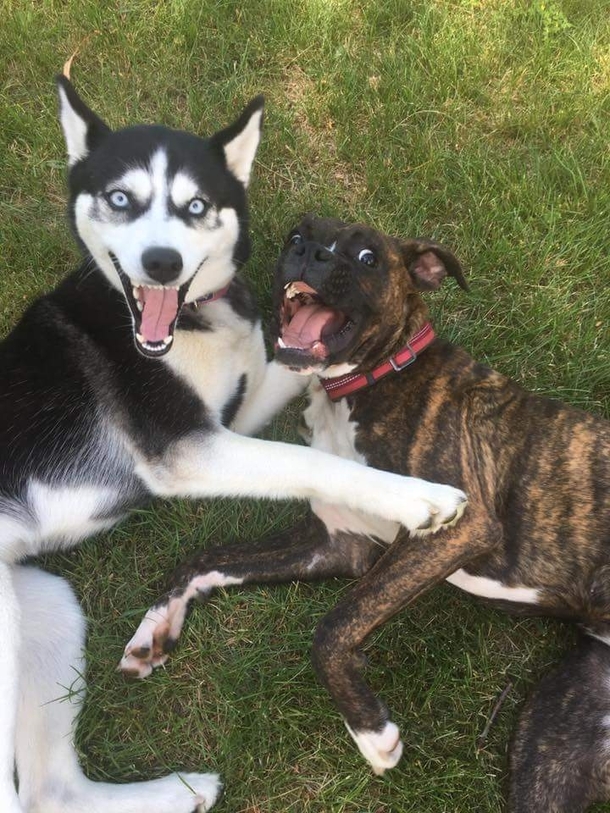 Smile for the camera