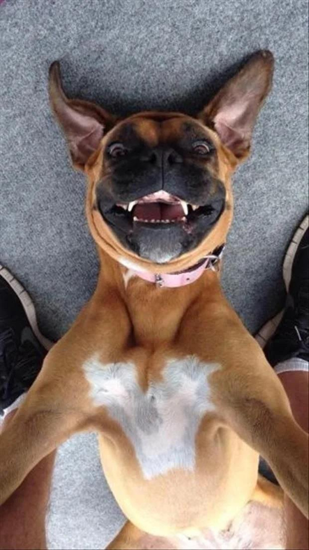 Smile guys