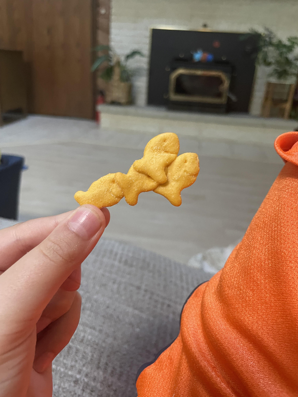 Smile or the fish army is coming for you 