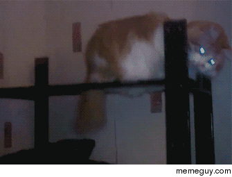 Smooth criminal