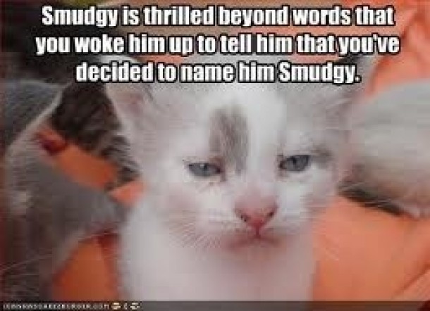 Smudgy is thrilled beyond words
