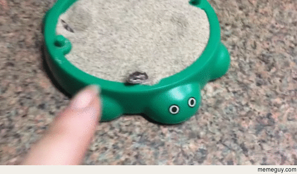 Snake boop