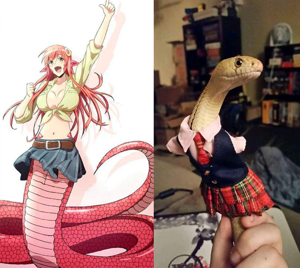 Snake cosplaying