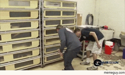 Snake was ready for the handler to open the cage