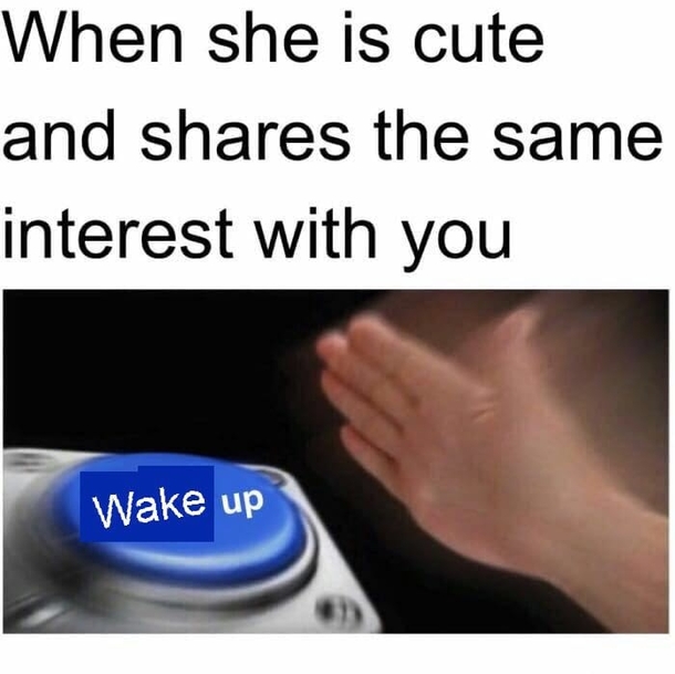 Snap back to reality