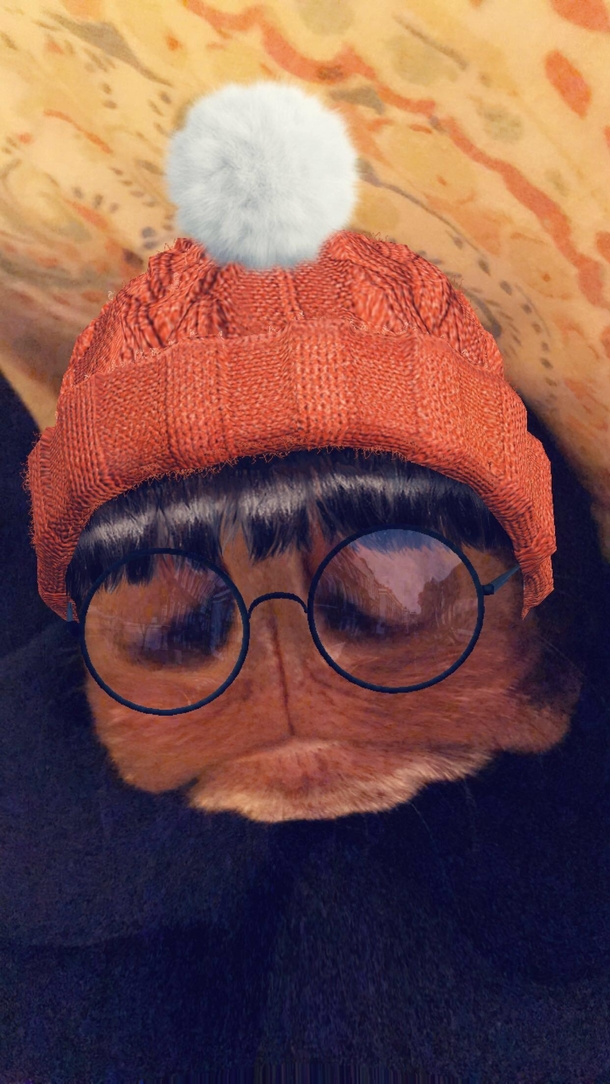 Snapchat turned my dogs nose into a hipster