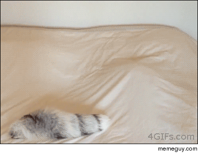 Sneak attack