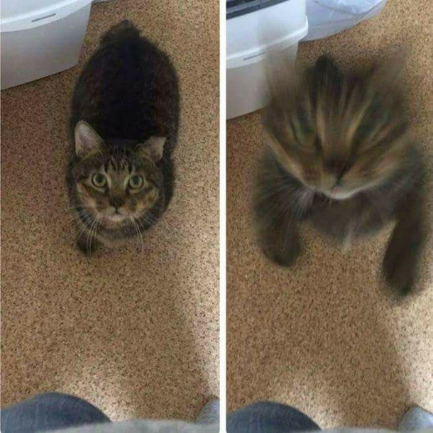 Sneak attack