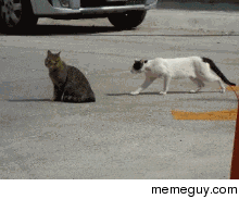 Sneak Attack