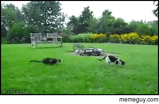 sneak sneak
