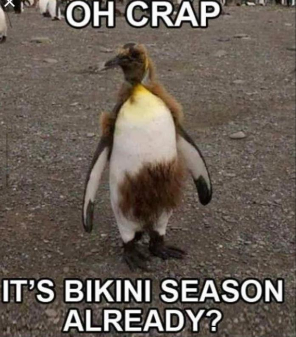 Sneaky bikini season