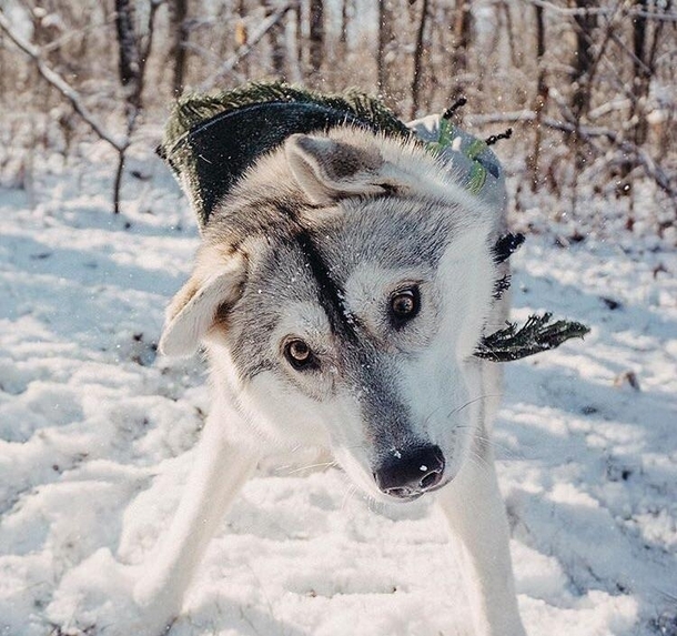 SNOW DAAAAY