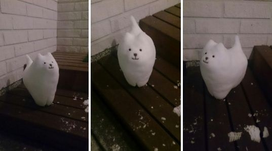 Snow Dog