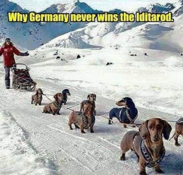 Snow race
