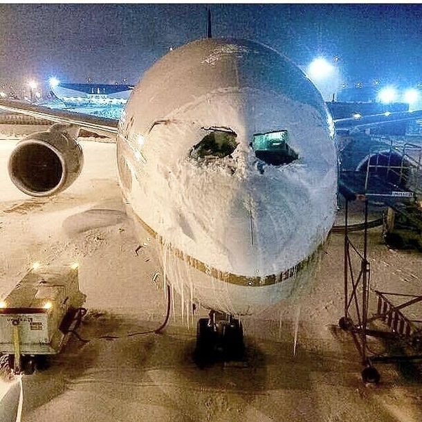 Snowy Giant