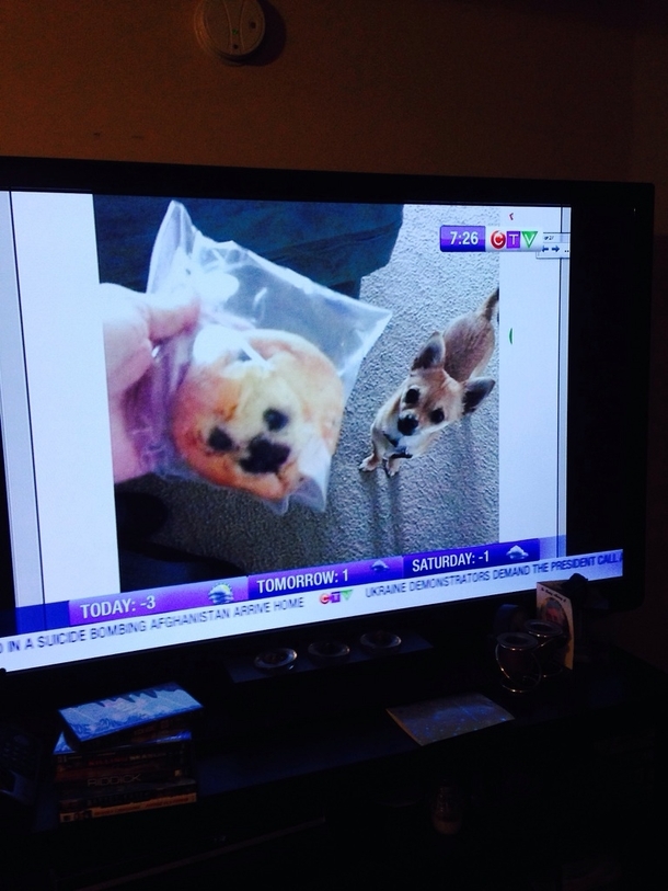 So a certain photo made it to my local news this morning