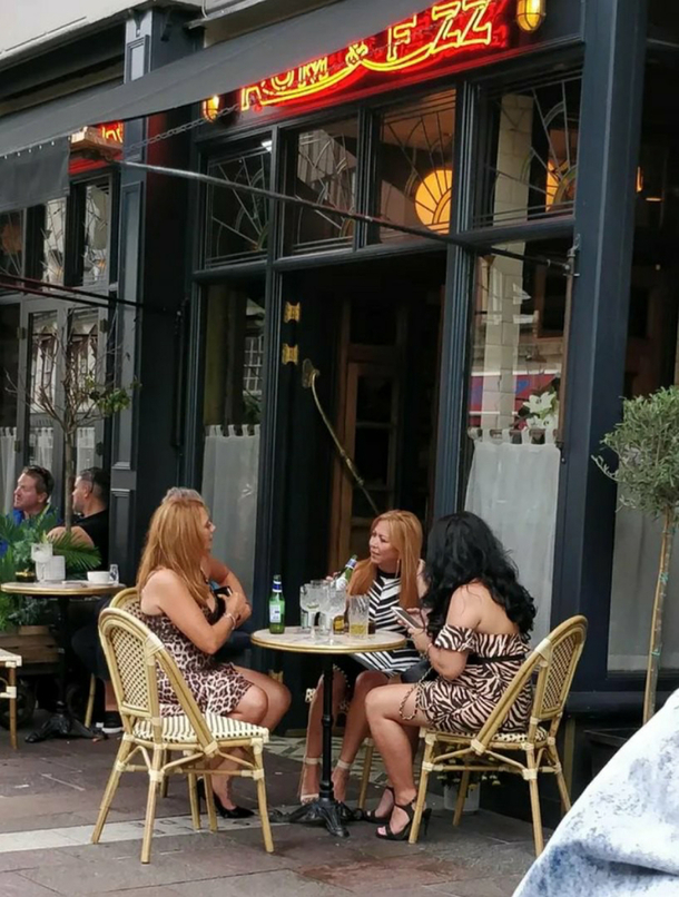 So a zebra leopard and a tiger walk in to a bar