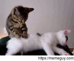 so cute