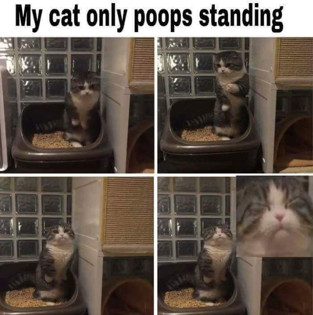 So cute