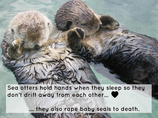 So cute