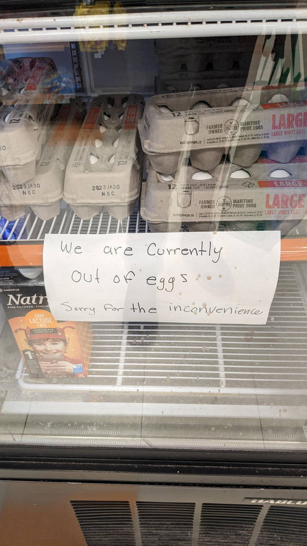 So disappointing when a store runs out of eggs 
