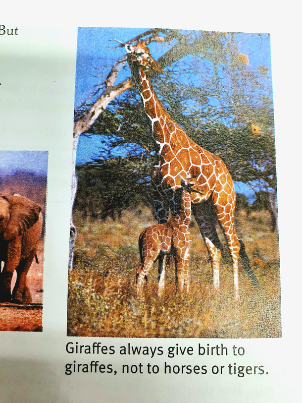 So glad I had this Cambridge science book to explain this to me