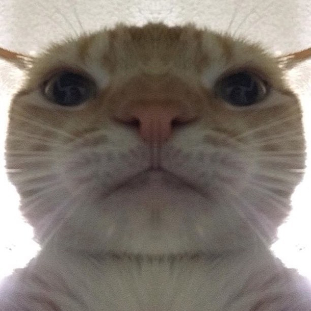 So how are you guys doing