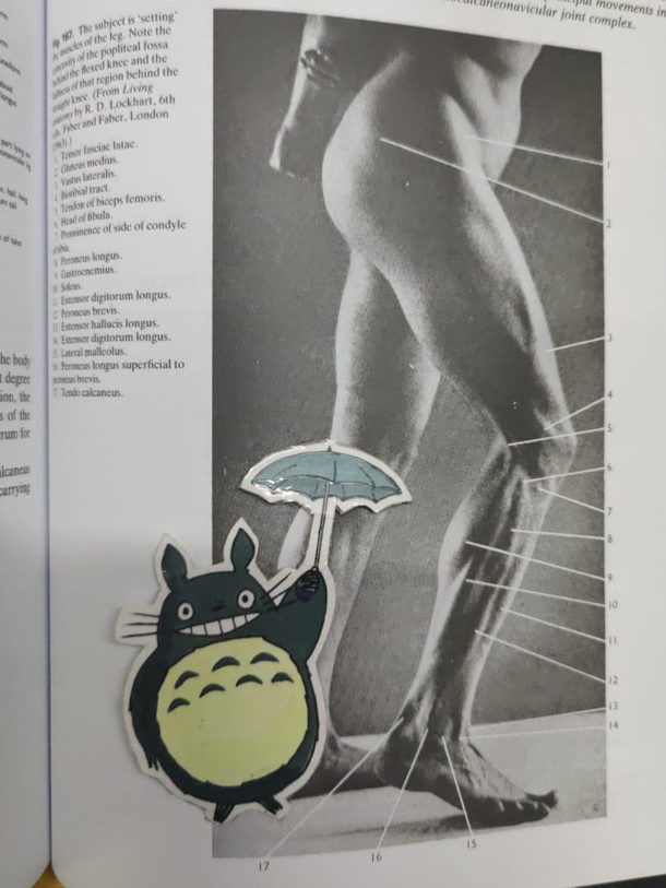 So I asked my bestfriend to send me a pic of the sticker I gave him with a nice background He decided to get creative