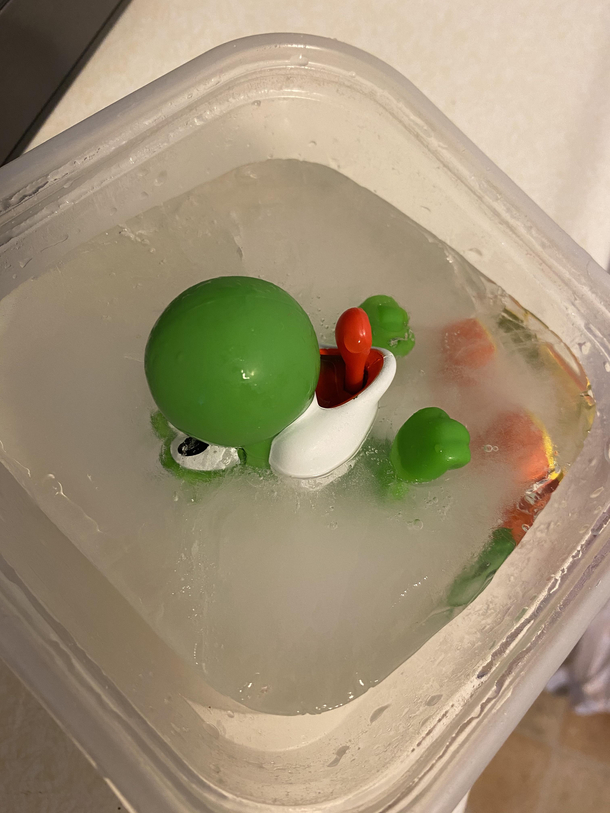 So I found my  year olds lost Yoshi toy in my freezer