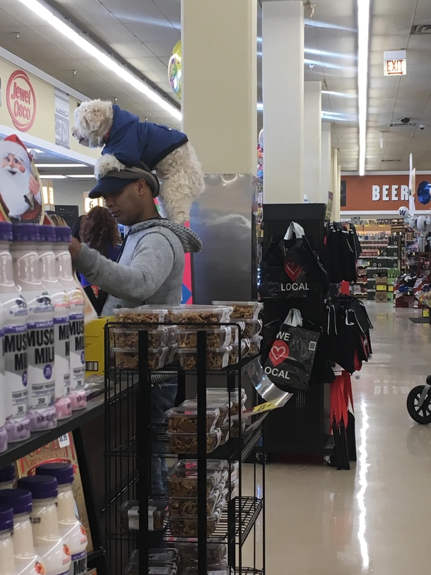 So - I just saw this guy at the store with a dog on his head