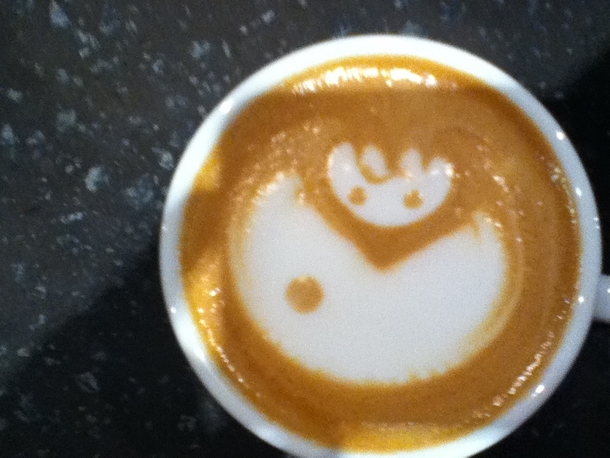 So I just started barista-ing and didnt make the flower nice enough so I improvised