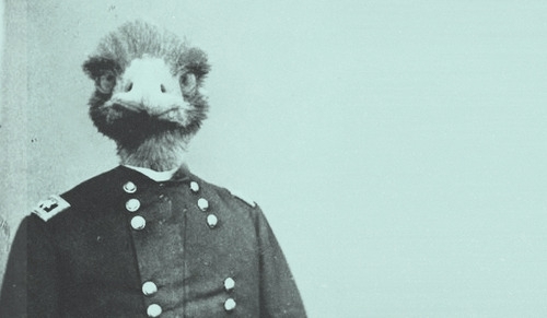 So I looked into this whole Emu War business and was not disappointed