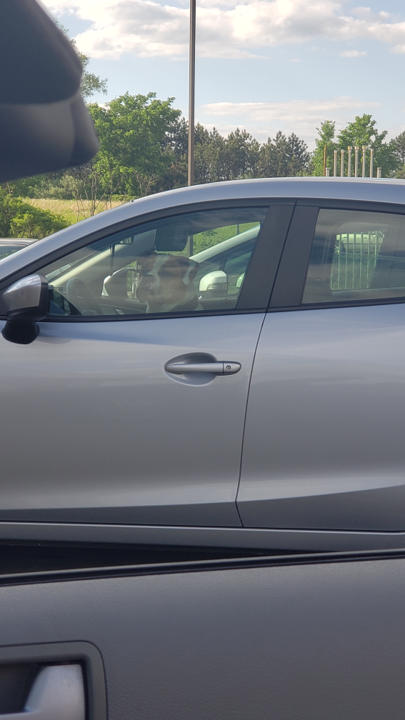 So I pulled into the gas station and looked at the car next to me to see this bitch staring at me