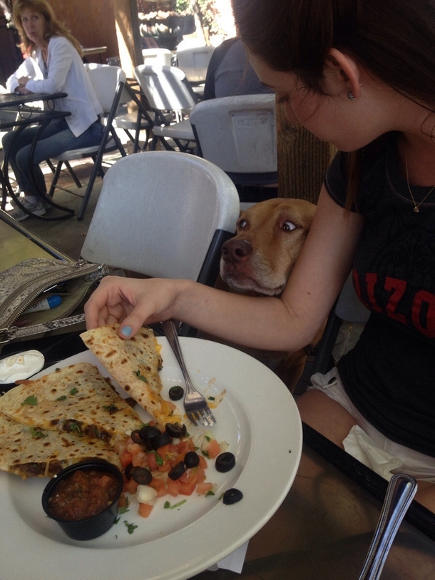 So I think he wants my quesadilla