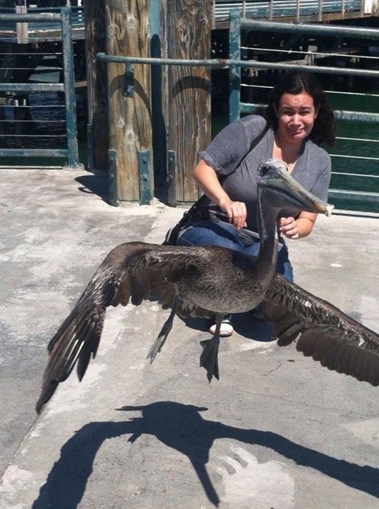 So I took a photo of my girlfriend with a Pelican
