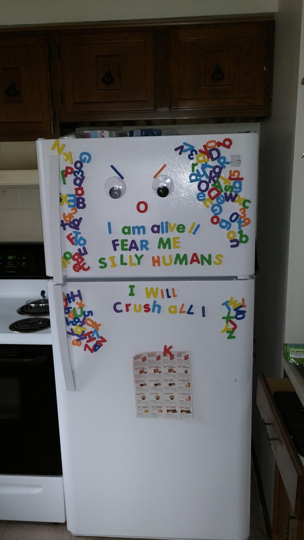 So i walked into my kitchen this morning