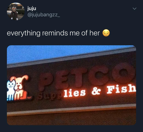So I walked past this fish market
