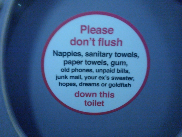 So I was using the toilet on a train