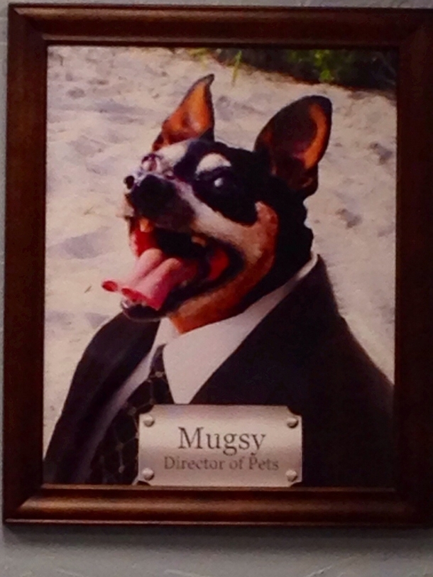 So Im staying at a pet-friendly hotel and I stumble upon this