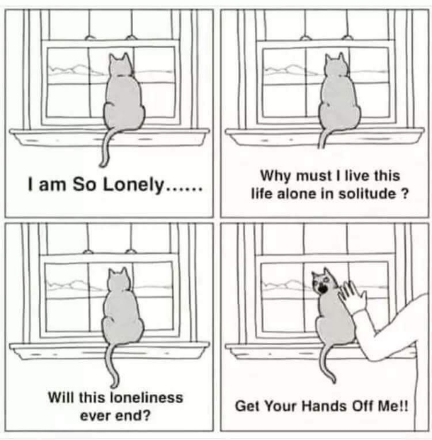 So lonely