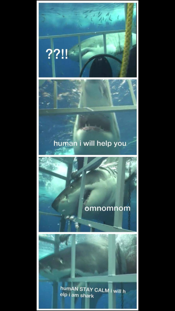 So misunderstood