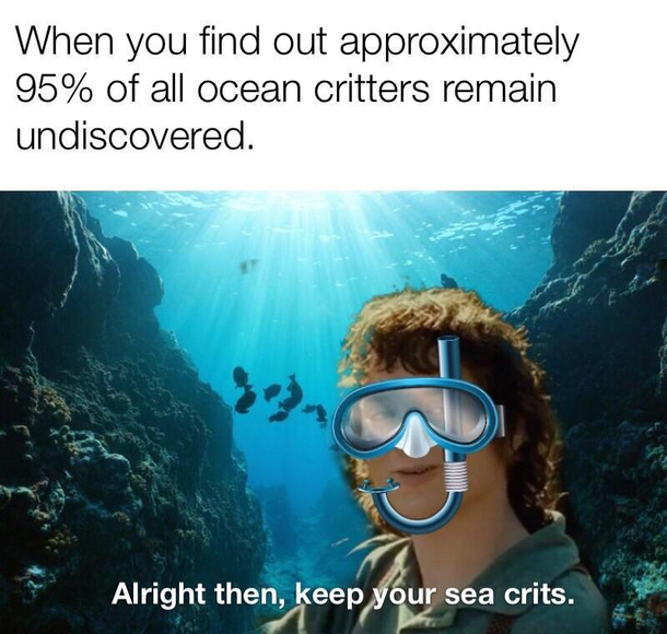 so much to learn